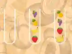 ゲームフルーツソートマスターオンライン
