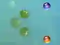 ゲーム私の冒険オンライン