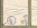 ゲームバブル Quodオンライン