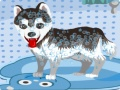 ゲーム私のかわいい犬の入浴オンライン