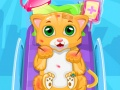 ゲーム小さな猫の医者オンライン