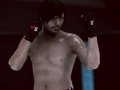ゲームMFS: MMA ファイターオンライン