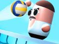 ゲームピルボレーオンライン