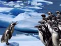ゲームペンギンスライドオンライン