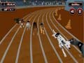 ゲームクレイジーな犬のレース熱オンライン