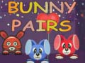 ゲームバニーペアオンライン