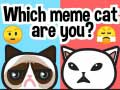 ゲームあなたはどのミーム猫ですか？オンライン