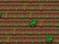 ゲームお茶作りオンライン