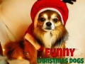 ゲーム面白いクリスマス犬オンライン