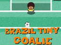 ゲームブラジルの小さなゴールキーパーオンライン