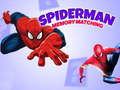 ゲームスパイダーマンメモリーマッチオンライン