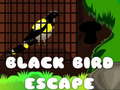 ゲームブラックバードエスケープオンライン