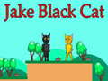 ゲームジェイク・ブラックキャットオンライン