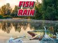 ゲーム魚の雨オンライン