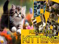 ゲームパズル滑る子猫オンライン