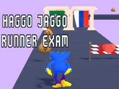 ゲームハッゴ・ジャッゴ・ランナー試験オンライン