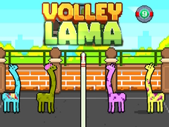 ゲームバレーボーイ ラマオンライン