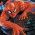 スパイダーマン スパイダーマン オンライン