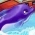 イルカ オンライン